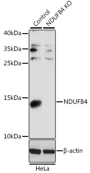 A13820_2.jpg