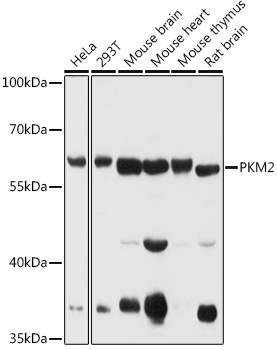 A13905_1.jpg