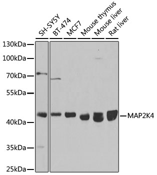 A14781_1.jpg