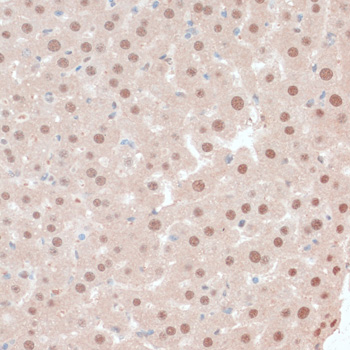 A14901_3.jpg