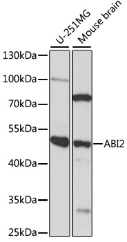 A14992_1.jpg