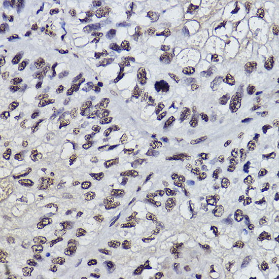 A1510_3.jpg