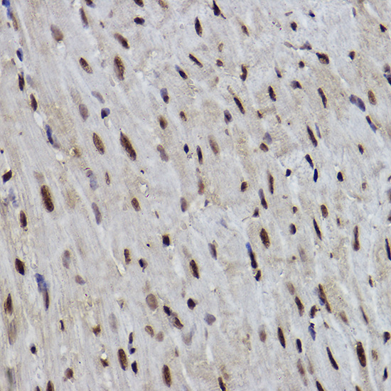 A1510_4.jpg
