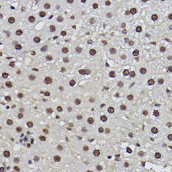 A1510_5.jpg