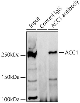 A15606_6.jpg
