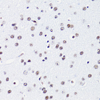 A15622_5.jpg