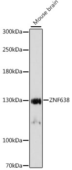 A15821_1.jpg