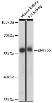 A15925_1.jpg