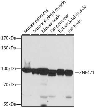 A16560_1.jpg