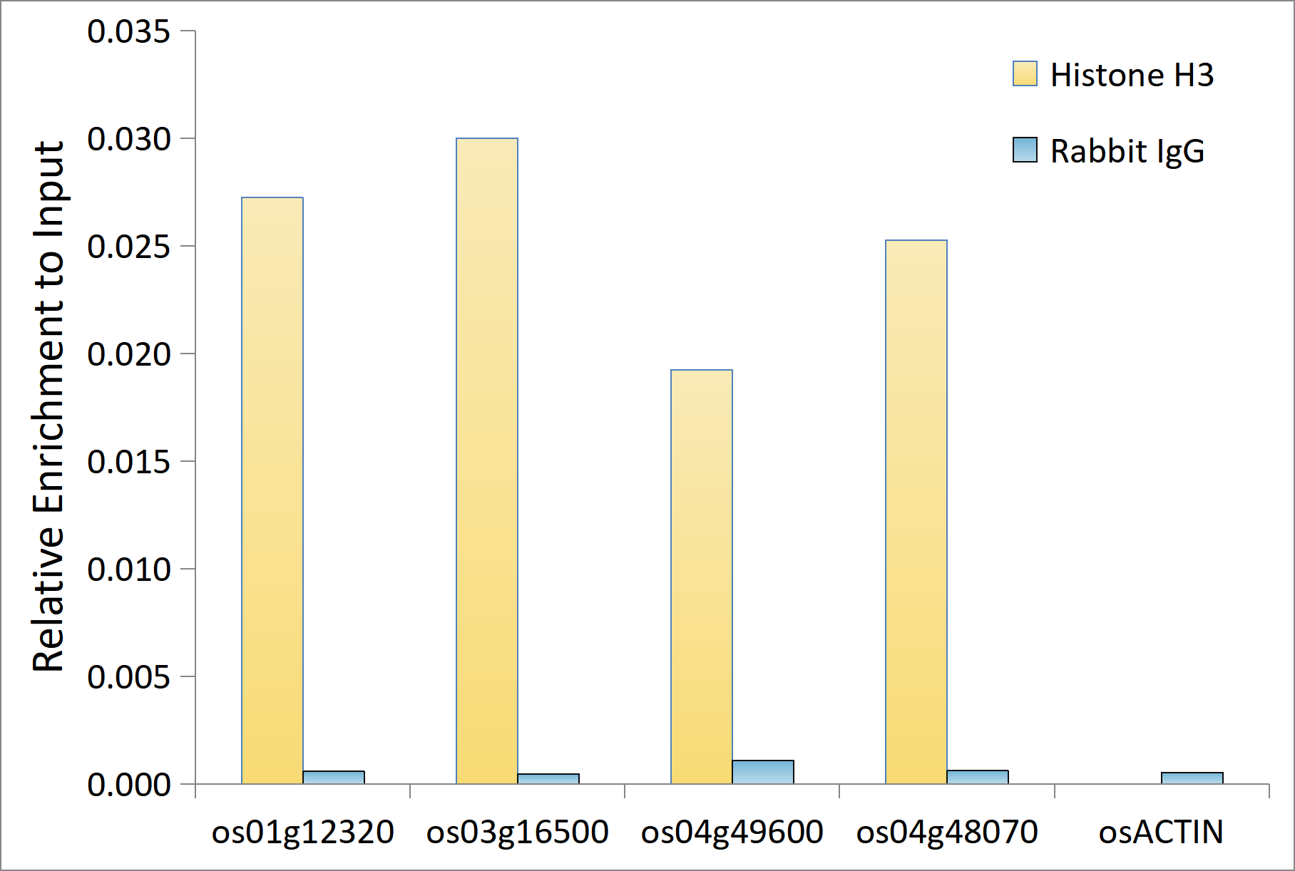 A17562_8.jpg
