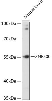 A17672_1.jpg