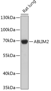 A17792_1.jpg