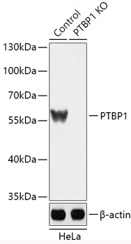 A18084_1.jpg