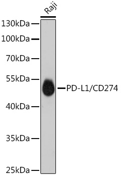 A18103_1.jpg