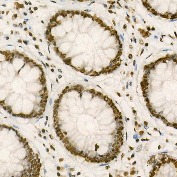 A1831_3.jpg