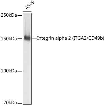 A19068_1.jpg
