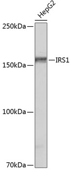A19074_1.jpg