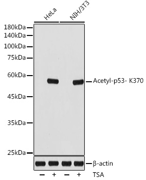 A19836_1.jpg