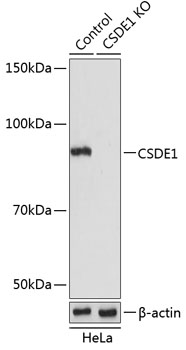 A20001_1.jpg
