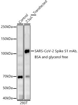 A20022_1.jpg