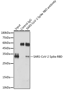 A20135_4.jpg