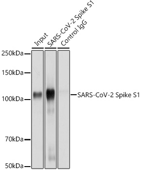 A20136_4.jpg