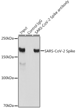 A20137_5.jpg