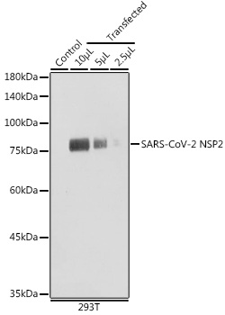 A20280_1.jpg
