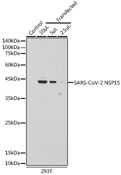 A20282_1.jpg
