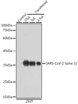 A20284_1.jpg