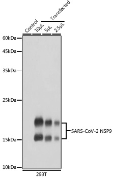 A20308_1.jpg