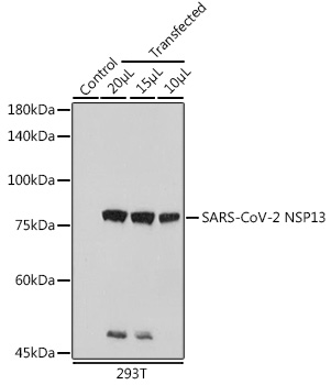 A20311_1.jpg
