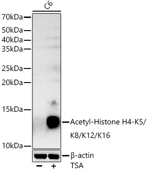 A20764_2.jpg
