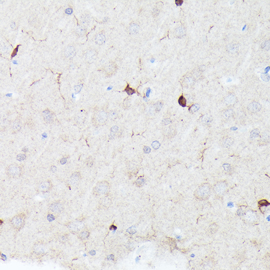A20773_7.jpg