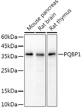 A20776_1.jpg
