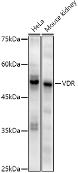 A20840_1.jpg
