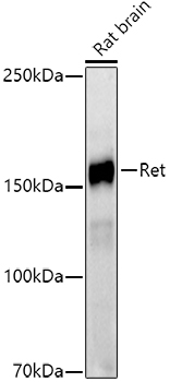 A20845_2.jpg