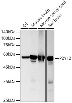 A20864_1.jpg