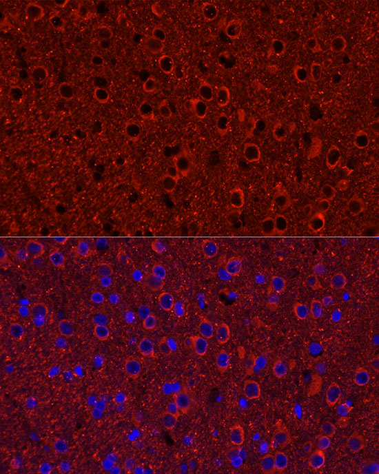 A20864_2.jpg