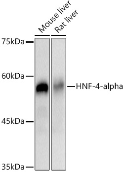 A20865_1.jpg