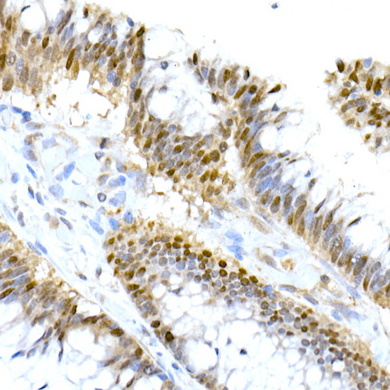 A20865_2.jpg