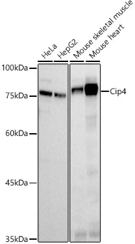 A20891_1.jpg