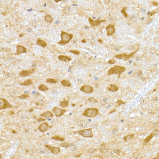 A20898_2.jpg