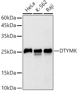A20921_1.jpg