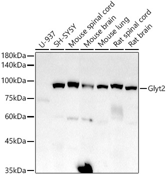 A20931_1.jpg