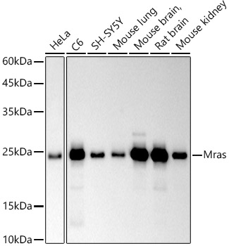 A20958_1.jpg