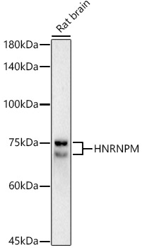 A20963_3.jpg
