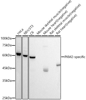 A20991_1.jpg