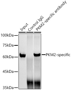 A20991_4.jpg