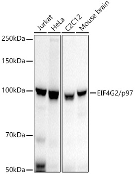 A21193_1.jpg